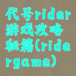 代号rider游戏攻略秘籍(ridergame)