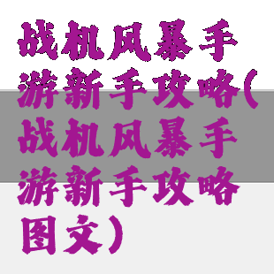 战机风暴手游新手攻略(战机风暴手游新手攻略图文)