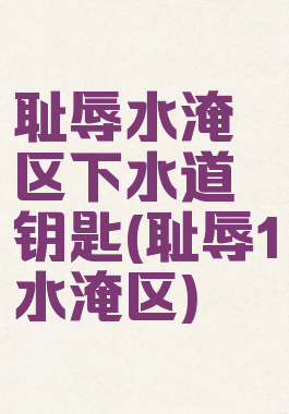 耻辱水淹区下水道钥匙(耻辱1水淹区)