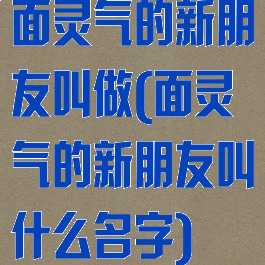 面灵气的新朋友叫做(面灵气的新朋友叫什么名字)